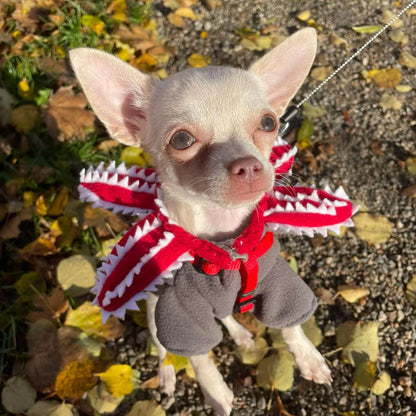 StrangerPup - Pet Accesory